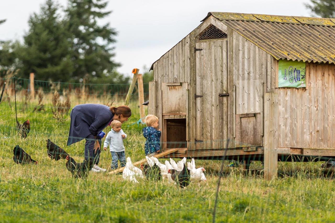 Huntstile Organic Farm Bed & Breakfast Бриджуотър Екстериор снимка